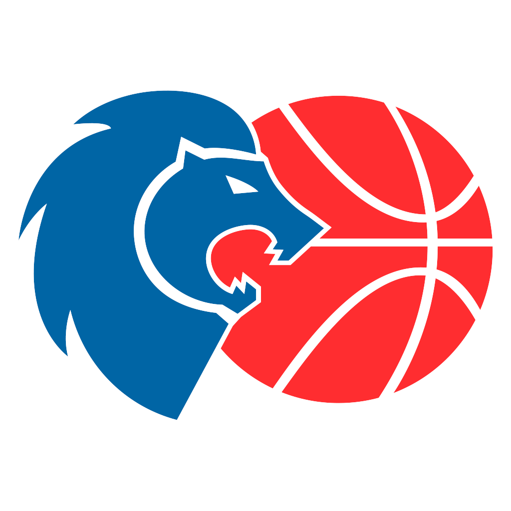 https://img.rzwanmu.com/img/basketball/team/6162ac364afbbd81d48ee577b1105bd9.png