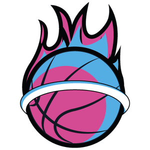 https://img.rzwanmu.com/img/basketball/team/ff7ccef6a6b79c6417ee8367946b0aec.png