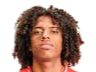 https://img.rzwanmu.com/img/football/player/135ad8787fd13961a93e165e79e736ff.png