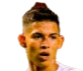 https://img.rzwanmu.com/img/football/player/256dcd3c814bd8fea3fab644d67a539f.png