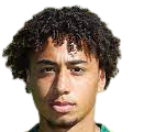 https://img.rzwanmu.com/img/football/player/347a6d58ae7ec0425a4d42bc9215c411.png