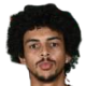 https://img.rzwanmu.com/img/football/player/43ec30212cc7d26011de3d8a3e919575.png