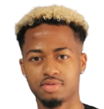 https://img.rzwanmu.com/img/football/player/56f57c9384dc78286882567572191913.png