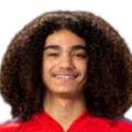 https://img.rzwanmu.com/img/football/player/87359ed9061cfd73513d827263deebcd.png