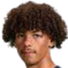 https://img.rzwanmu.com/img/football/player/b4d4b50cc984522aa3051d8ee0d44607.png