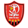 https://img.rzwanmu.com/img/football/team/0db06bd7ec6e2d578b836885d675b6d1.png