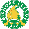 https://img.rzwanmu.com/img/football/team/117b9f710567cff1ff00b73ceca460da.png