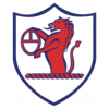 https://img.rzwanmu.com/img/football/team/11fb72f7b5eacfc881ee11bac75871fa.png