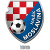 https://img.rzwanmu.com/img/football/team/14e131a042514a4196f8a471e175e8c4.png