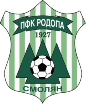 https://img.rzwanmu.com/img/football/team/1df902871a13fb5212ca000227368462.png