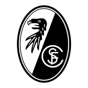 https://img.rzwanmu.com/img/football/team/415c59ee367846036575b93881803d0d.png