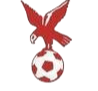 https://img.rzwanmu.com/img/football/team/4802d26df935b78bb2fcdbbff36e8864.png