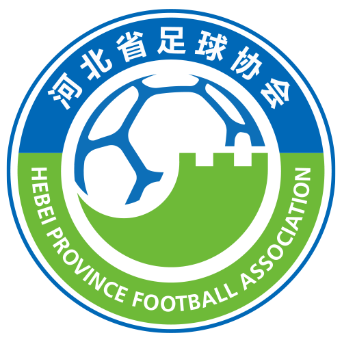 https://img.rzwanmu.com/img/football/team/69b57bf85b223fc09bdeb5768bff90bb.png