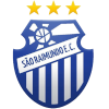 https://img.rzwanmu.com/img/football/team/91cbaa5a5aeed6abf4caac371ffe4e3c.png