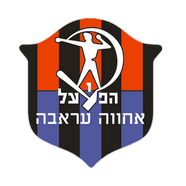 https://img.rzwanmu.com/img/football/team/b193ba2515f673adf7b7a9361aa52e6e.png