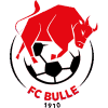 https://img.rzwanmu.com/img/football/team/b201265fa89720bf8cd8ef95549a4738.png