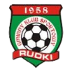 https://img.rzwanmu.com/img/football/team/d2299228f1b2481fc815598fbd48ffbf.png