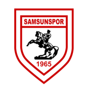 https://img.rzwanmu.com/img/football/team/fc1e7fd1fb8e519d65892e24ceb40154.png